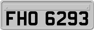 FHO6293