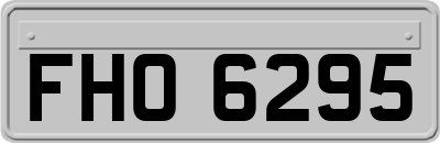 FHO6295