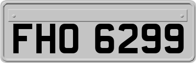 FHO6299