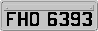 FHO6393