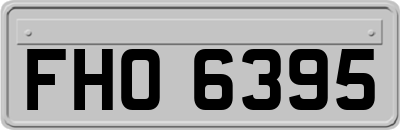 FHO6395