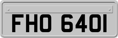 FHO6401