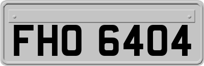 FHO6404