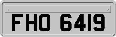 FHO6419