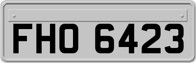 FHO6423