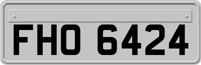 FHO6424
