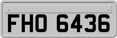 FHO6436