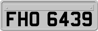 FHO6439
