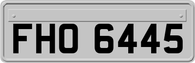 FHO6445