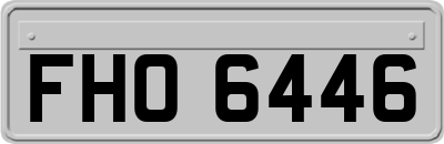 FHO6446