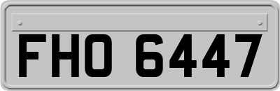 FHO6447