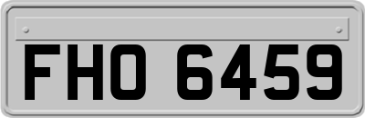 FHO6459