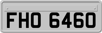 FHO6460