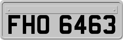 FHO6463