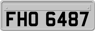 FHO6487