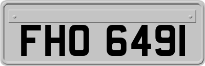 FHO6491