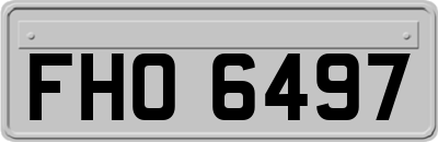 FHO6497