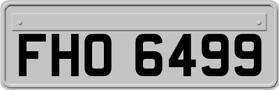 FHO6499