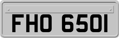 FHO6501