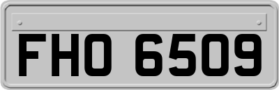 FHO6509