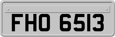 FHO6513