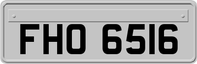 FHO6516
