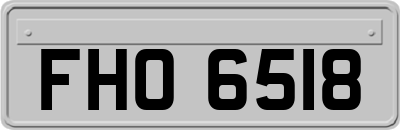 FHO6518