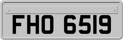 FHO6519