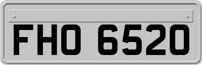 FHO6520