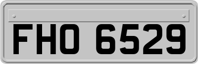 FHO6529