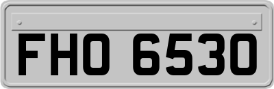 FHO6530