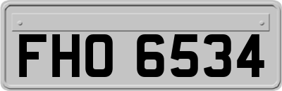 FHO6534