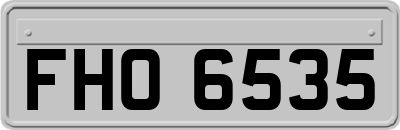 FHO6535