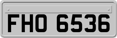 FHO6536
