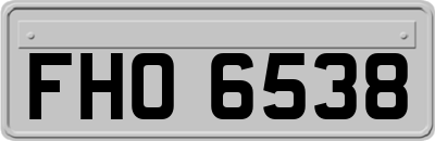 FHO6538