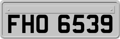 FHO6539