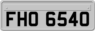 FHO6540
