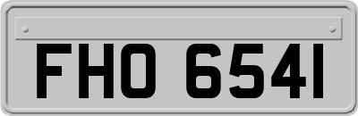 FHO6541