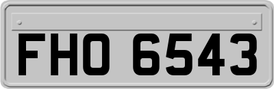 FHO6543
