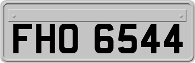 FHO6544