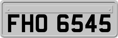 FHO6545