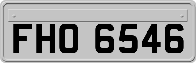 FHO6546