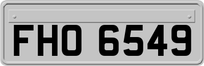 FHO6549