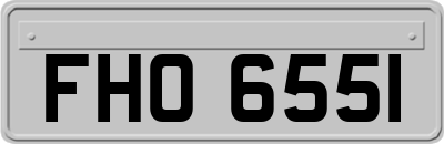 FHO6551