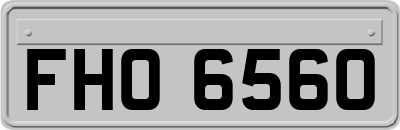 FHO6560
