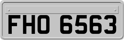 FHO6563
