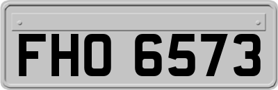 FHO6573