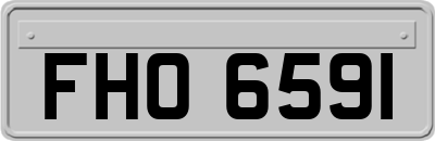 FHO6591