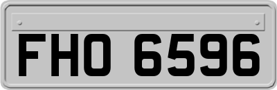 FHO6596