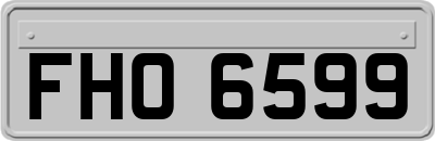 FHO6599